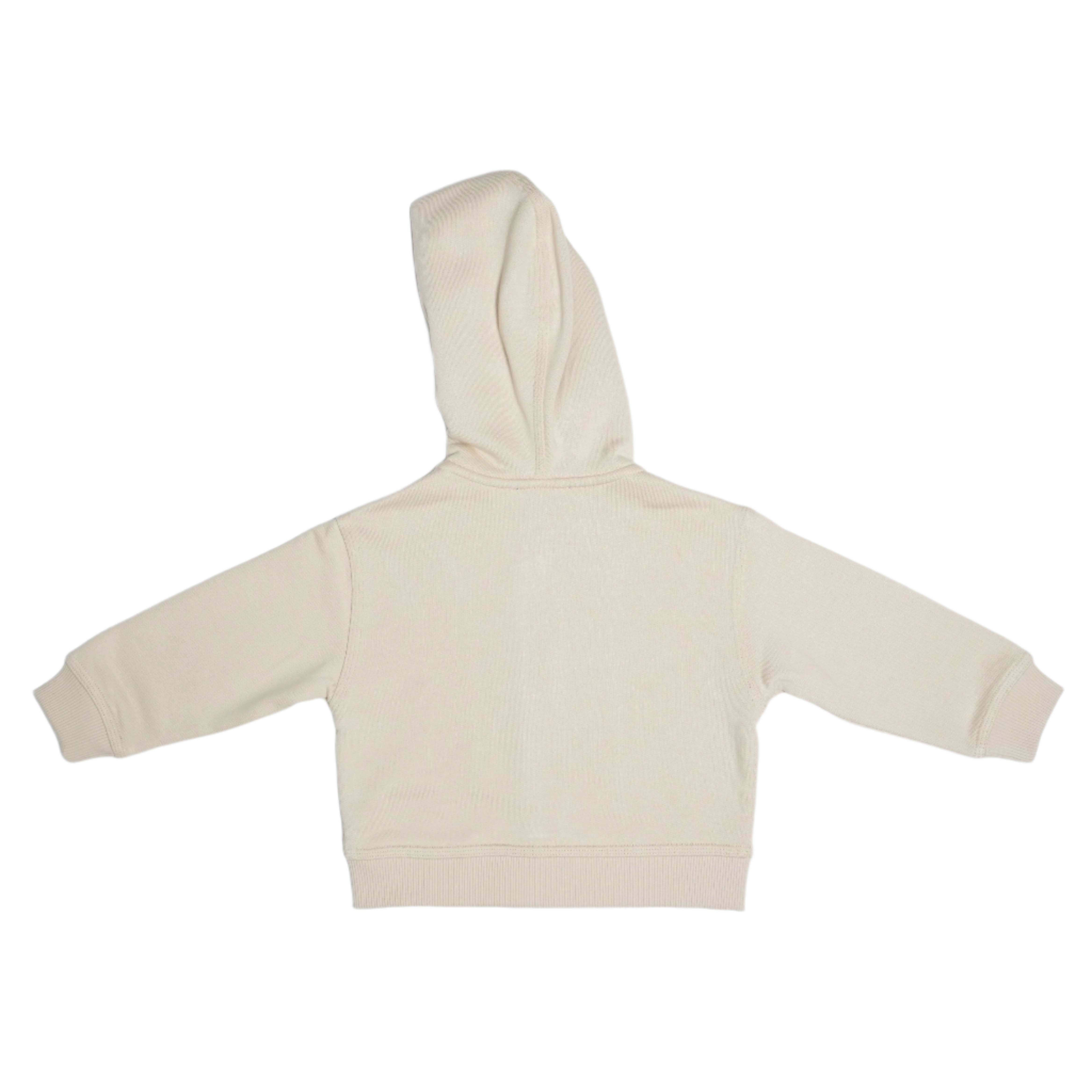 Hodie by Burberry